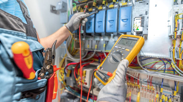 Best Electric Panel Repair  in Clayton, AL